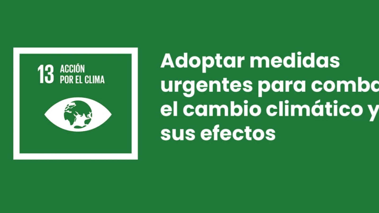 nota-23:-08-2024-Foro